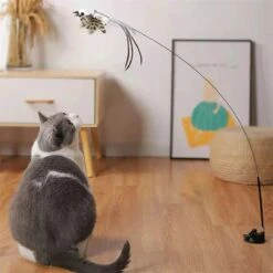 Kattenspeelgoed - Simulatie Vogel - Interactieve Grappige Kattenspeeltjes - Kattenhengel Met Zuignap + 4 Vogels + Een Kattenhengel GRATIS 23 Kattenspeelgoed - Simulatie Vogel - Interactieve Grappige Kattenspeeltjes - Kattenhengel Met Zuignap + 4 Vogels + Een Kattenhengel GRATIS -Kattenproducten 1200x1200 827