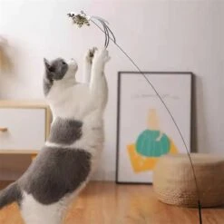 Kattenspeelgoed - Simulatie Vogel - Interactieve Grappige Kattenspeeltjes - Kattenhengel Met Zuignap + 4 Vogels + Een Kattenhengel GRATIS 24 Kattenspeelgoed - Simulatie Vogel - Interactieve Grappige Kattenspeeltjes - Kattenhengel Met Zuignap + 4 Vogels + Een Kattenhengel GRATIS -Kattenproducten 1200x1200 828