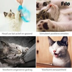 Filo Kattenhengel Set + 12 Kattenspeeltjes – Speelhengels Interactief Kattenspeelgoed – Hengel Kattenspeeltje Kittens - Speelgoed Speelhengel Vis Kat En Kitten 16 Filo Kattenhengel Set + 12 Kattenspeeltjes – Speelhengels Interactief Kattenspeelgoed – Hengel Kattenspeeltje Kittens - Speelgoed Speelhengel Vis Kat En Kitten -Kattenproducten 1200x1200 829