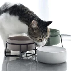 GIZMO 2x Voerbak Kat - 400 Ml - Groen - Keramische Drink- & Voerbakken Met Standaard - 13 Cm - 2 Stuks 24 GIZMO 2x Voerbak Kat - 400 Ml - Groen - Keramische Drink- & Voerbakken Met Standaard - 13 Cm - 2 Stuks -Kattenproducten 1200x1200 84