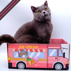 Make Me Purr Kattendoos Van Karton (Ice Cream) - Inclusief Kartonnen Krabmat - Speelgoed Doos Voor Katten Met Krab Mat - Kat Krabpaal Speeltje - Kattenbed Kattenmand Kattenhuis Kattentunnel - Kattenspeelgoed - Kattenspeeltjes - Kitten Speeltjes -Kattenproducten 1200x1200 843