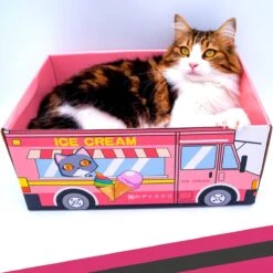 Make Me Purr Kattendoos Van Karton (Ice Cream) - Inclusief Kartonnen Krabmat - Speelgoed Doos Voor Katten Met Krab Mat - Kat Krabpaal Speeltje - Kattenbed Kattenmand Kattenhuis Kattentunnel - Kattenspeelgoed - Kattenspeeltjes - Kitten Speeltjes -Kattenproducten 1200x1200 844