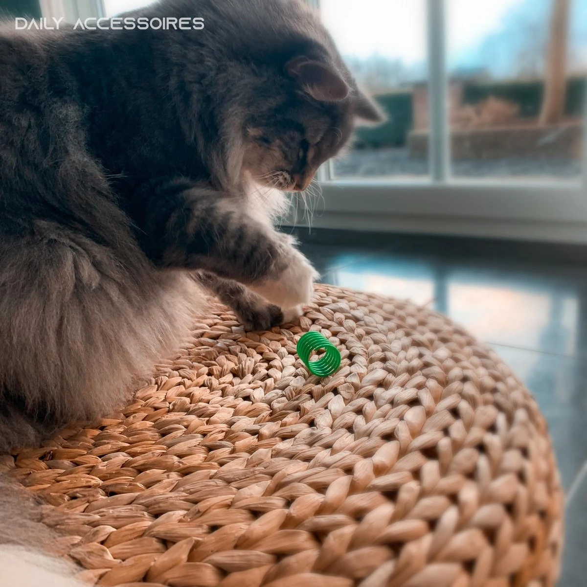 Kattenveertjes - Set 4 Stuks - Kattenspeeltjes - Kattenspeelgoed - Springveertje - Kittenspeeltjes - Kittenveertjes 4 Kattenveertjes - Set 4 Stuks - Kattenspeeltjes - Kattenspeelgoed - Springveertje - Kittenspeeltjes - Kittenveertjes - Afbeelding 2