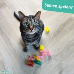 Moowi - Springveren 30 Stuks - Kat - Kattenveertjes - Kattenspeelgoed -Kattenproducten 1200x1200 860