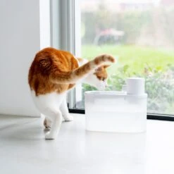 Hoopo® Agua - DRAADLOZE Waterfontein Katten - SMART Waterfontein Katten - UVC Disinfectie - 2 Liter - Automatische Katten Fontein 14 Hoopo® Agua - DRAADLOZE Waterfontein Katten - SMART Waterfontein Katten - UVC Disinfectie - 2 Liter - Automatische Katten Fontein -Kattenproducten 1200x1200 87