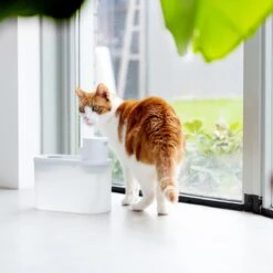 Hoopo® Agua - DRAADLOZE Waterfontein Katten - SMART Waterfontein Katten - UVC Disinfectie - 2 Liter - Automatische Katten Fontein 15 Hoopo® Agua - DRAADLOZE Waterfontein Katten - SMART Waterfontein Katten - UVC Disinfectie - 2 Liter - Automatische Katten Fontein -Kattenproducten 1200x1200 88