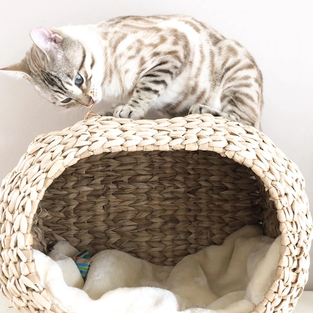 Ebi Radiator Sunrise Kattenmand - Incl. Kussen - Beige - 45 X 30 X 30 Cm 6 Ebi Radiator Sunrise Kattenmand - Incl. Kussen - Beige - 45 X 30 X 30 Cm - Afbeelding 4