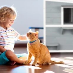 Relaxdays Kattenhuis Buiten - Groot Kattenhok Binnen - Hoog Kattenmeubel Grijs Hout - Tuin 16 Relaxdays Kattenhuis Buiten - Groot Kattenhok Binnen - Hoog Kattenmeubel Grijs Hout - Tuin -Kattenproducten 1200x1200 890