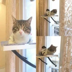 Hobipets - Kattenmand Raam - 5 Zuignappen - Hangmat Kat Raam -Kattenproducten 1200x1200 893