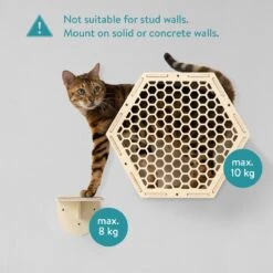 Navaris Katten Klimwand 4-delige Set - Katten Klimmuur Voor Binnenshuis - Kattenmeubel Met Wandmontage - Met Drie Plankjes Voor Meer Klimplezier 11 Navaris Katten Klimwand 4-delige Set - Katten Klimmuur Voor Binnenshuis - Kattenmeubel Met Wandmontage - Met Drie Plankjes Voor Meer Klimplezier -Kattenproducten 1200x1200 894