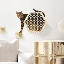 Navaris Katten Klimwand 4-delige Set - Katten Klimmuur Voor Binnenshuis - Kattenmeubel Met Wandmontage - Met Drie Plankjes Voor Meer Klimplezier 13 Navaris Katten Klimwand 4-delige Set - Katten Klimmuur Voor Binnenshuis - Kattenmeubel Met Wandmontage - Met Drie Plankjes Voor Meer Klimplezier -Kattenproducten 1200x1200 895
