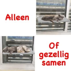 Merkloos Kattenhangmat - Kattenbed - Hangmat Kat Raam Ook Voor Radiator En Deur - Kattenmand Raam En Radiator - Katten Hangmat - Radiatorhangmat Kat Kattenstoel - Tijdelijk Met Extra Hangmat Hoes -Kattenproducten 1200x1200 901