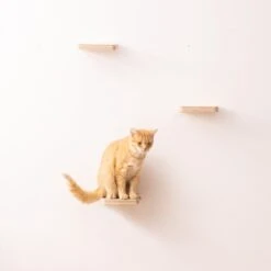 Navaris Katten Klimmuur 3 Tredes - 18 X 18 X 1,5 Cm Per Plankje - Katten Klimwand Van Hout - Inclusief Bevestigingsmateriaal 13 Navaris Katten Klimmuur 3 Tredes - 18 X 18 X 1,5 Cm Per Plankje - Katten Klimwand Van Hout - Inclusief Bevestigingsmateriaal -Kattenproducten 1200x1200 930
