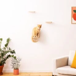 Navaris Katten Klimmuur 3 Tredes - 18 X 18 X 1,5 Cm Per Plankje - Katten Klimwand Van Hout - Inclusief Bevestigingsmateriaal 14 Navaris Katten Klimmuur 3 Tredes - 18 X 18 X 1,5 Cm Per Plankje - Katten Klimwand Van Hout - Inclusief Bevestigingsmateriaal -Kattenproducten 1200x1200 931