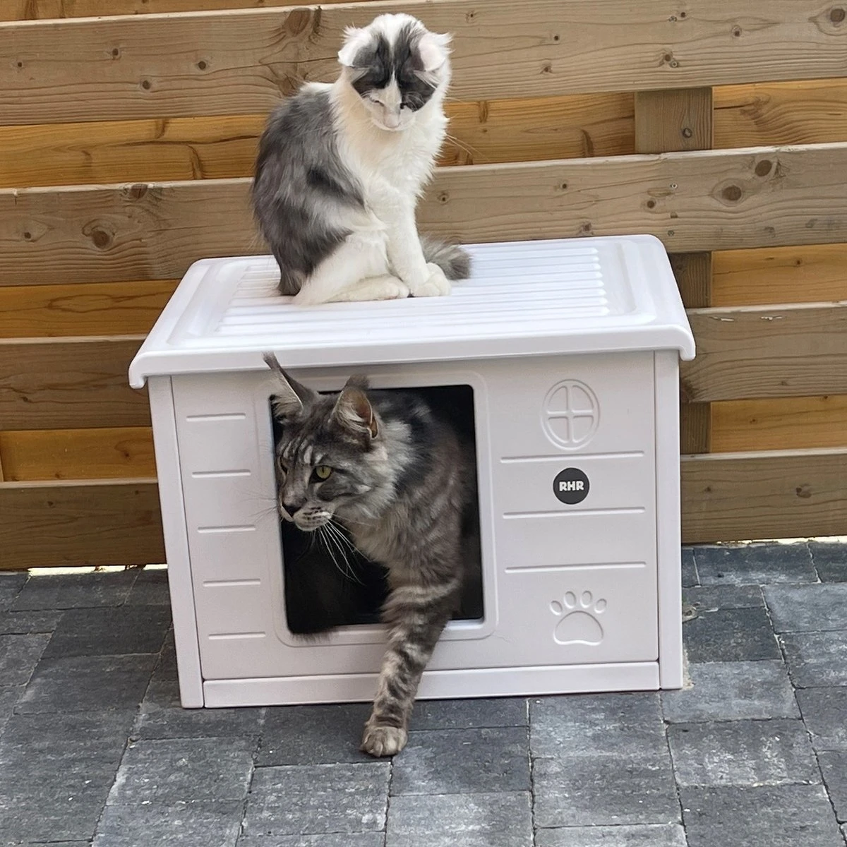 RHRQuality Kattenhuis Voor Binnen En Buiten Kattenhok Villa De Luxe Wit 60cm 4 RHRQuality Kattenhuis Voor Binnen En Buiten Kattenhok Villa De Luxe Wit 60cm - Afbeelding 2