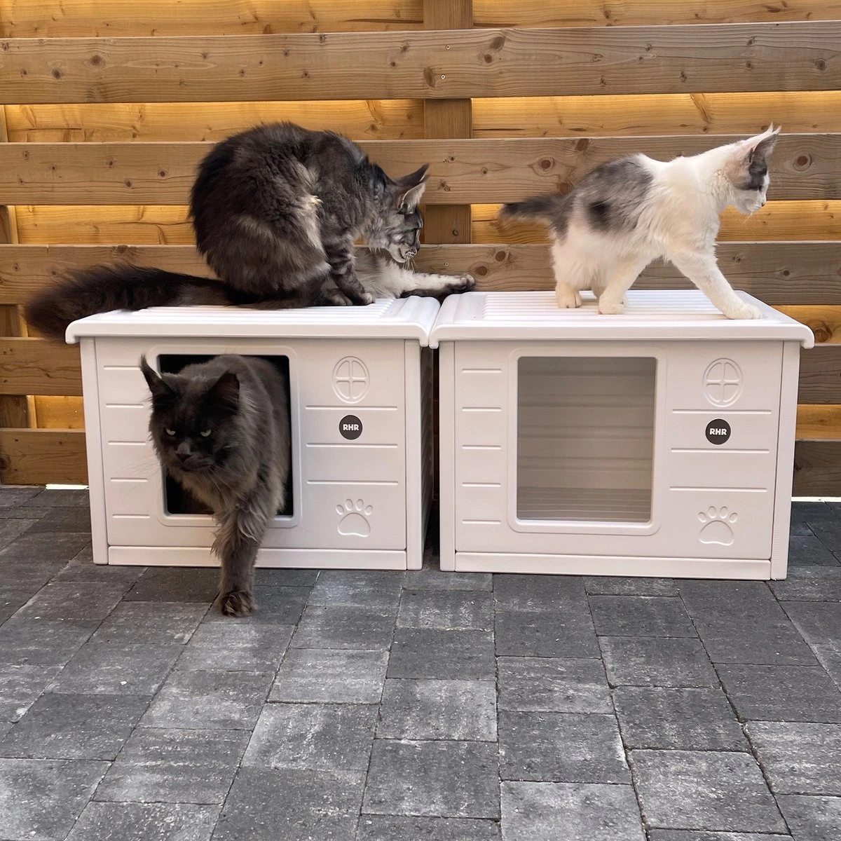 RHRQuality Kattenhuis Voor Binnen En Buiten Kattenhok Villa De Luxe Wit 60cm 5 RHRQuality Kattenhuis Voor Binnen En Buiten Kattenhok Villa De Luxe Wit 60cm - Afbeelding 3