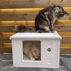 RHRQuality Kattenhuis Voor Binnen En Buiten Kattenhok Villa De Luxe Wit 60cm 12 RHRQuality Kattenhuis Voor Binnen En Buiten Kattenhok Villa De Luxe Wit 60cm -Kattenproducten 1200x1200 988