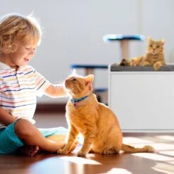 Relaxdays Kattenbak Ombouw - Met Zitkussen - Kattenhuis Wit - Kattenmeubel - Kattenkast 15 Relaxdays Kattenbak Ombouw - Met Zitkussen - Kattenhuis Wit - Kattenmeubel - Kattenkast -Kattenproducten 1200x1200 997