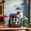District 70 TELLY - Retro TV Krabmeubel - Instagrammable Kartonnen TV Voor Katten - 39 X 27 X 37 Cm 2 District 70 TELLY - Retro TV Krabmeubel - Instagrammable Kartonnen TV Voor Katten - 39 X 27 X 37 Cm -Kattenproducten 1200x1200 999