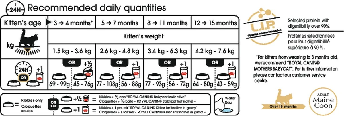 Royal Canin Maine Coon Kitten - Kattenvoer - 4 Kg 15 Royal Canin Maine Coon Kitten - Kattenvoer - 4 Kg - Afbeelding 13