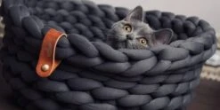 Djambo Kattenmanden, Gevlochten En Zachte Kattenbed, Comfortabel En Warm. 12 Djambo Kattenmanden, Gevlochten En Zachte Kattenbed, Comfortabel En Warm. -Kattenproducten 1200x600