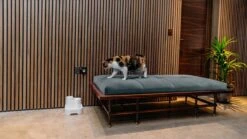 Cat Mate - Waterfontein Kat - Kattenfontein - Drinkfontein Kat - Fluisterstil - Poezen Fontein - Dieren Drinkbakken - Honden Fontein - 2 L 19 Cat Mate - Waterfontein Kat - Kattenfontein - Drinkfontein Kat - Fluisterstil - Poezen Fontein - Dieren Drinkbakken - Honden Fontein - 2 L -Kattenproducten 1200x675