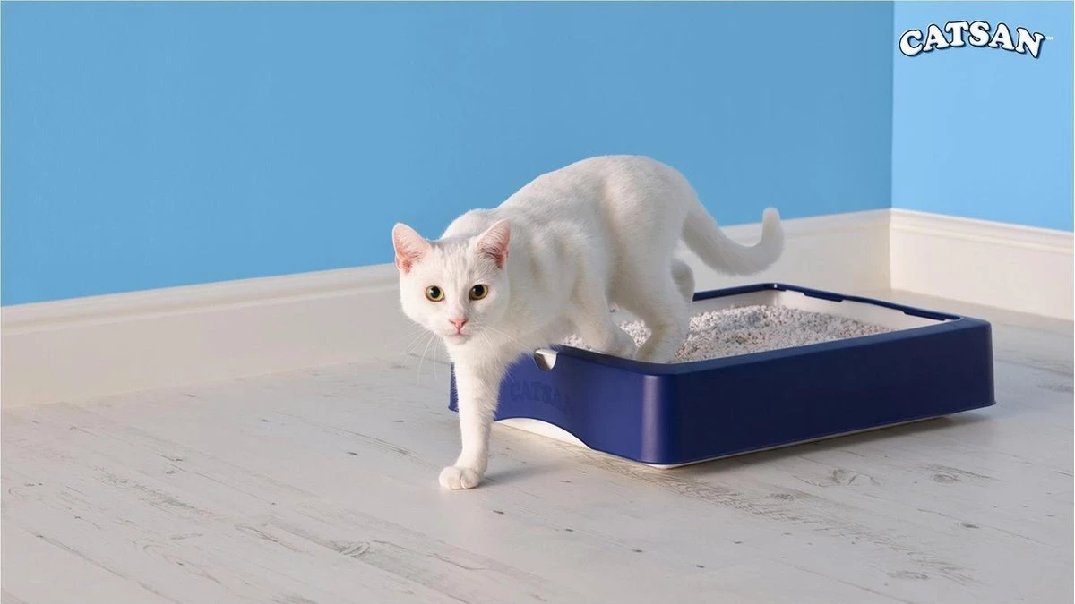 Catsan Active Fresh - Kattenbakvulling - 8 L 7 Catsan Active Fresh - Kattenbakvulling - 8 L - Afbeelding 5