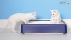 Catsan Active Fresh - Kattenbakvulling - 8 L 14 Catsan Active Fresh - Kattenbakvulling - 8 L -Kattenproducten 1200x675 7