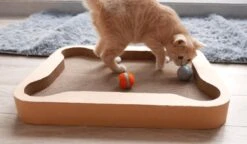 Cheerble Mini Ball 2.0 - Slimme Interactieve Zelf Rollende Bal Voor Katten - 3 Speelmodi - Kattenspeeltjes - USB Oplaadbaar - Rood 25 Cheerble Mini Ball 2.0 - Slimme Interactieve Zelf Rollende Bal Voor Katten - 3 Speelmodi - Kattenspeeltjes - USB Oplaadbaar - Rood -Kattenproducten 1200x699 1