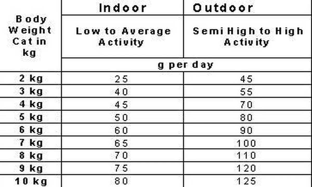 Smolke Kattenvoer Adult Kip 2 Kg 16 Smolke Kattenvoer Adult Kip 2 Kg - Afbeelding 14