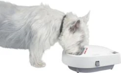 Cat Mate C300 - Automatische Voerbak – Voerbak – Voerautomaat - Voerbak Kat – Voerbak Hond - Voerbak Met Timer - Voerautomaat Kat - Voerautomaat Hond – Automatisch- Wit -Kattenproducten 1200x724