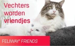 Feliway Friends - Startset - 1 Verdamper Met 1 Vulling - 48 Ml - Anti-conflict Voor Katten 17 Feliway Friends - Startset - 1 Verdamper Met 1 Vulling - 48 Ml - Anti-conflict Voor Katten -Kattenproducten 1200x735