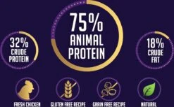 Avalon Petfood + Verse Kip Super Premium - Kattenvoer - 5Kg 8 Avalon Petfood + Verse Kip Super Premium - Kattenvoer - 5Kg -Kattenproducten 1200x745