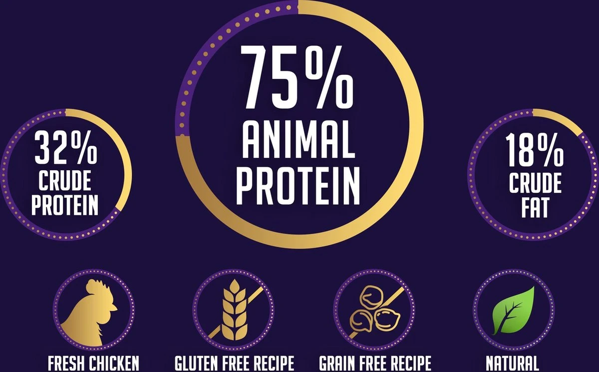 Avalon Petfood + Verse Kip Super Premium - Kattenvoer - 5Kg 5 Avalon Petfood + Verse Kip Super Premium - Kattenvoer - 5Kg - Afbeelding 3