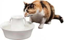 Petsafe Drinkwell Ceramic Avalon - Drinkfontein - 2 L -Kattenproducten 1200x754