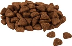 Perfect Fit Adult 1+ Katten Droogvoer - Kip - 7kg 10 Perfect Fit Adult 1+ Katten Droogvoer - Kip - 7kg -Kattenproducten 1200x765