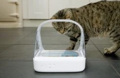 Surefeed Microchip Pet Feeder - Voerbak - 30 X 23 X 22 Cm 27 Surefeed Microchip Pet Feeder - Voerbak - 30 X 23 X 22 Cm -Kattenproducten 1200x780 2