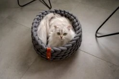 Djambo Kattenmanden, Gevlochten En Zachte Kattenbed, Comfortabel En Warm. 10 Djambo Kattenmanden, Gevlochten En Zachte Kattenbed, Comfortabel En Warm. -Kattenproducten 1200x798 6