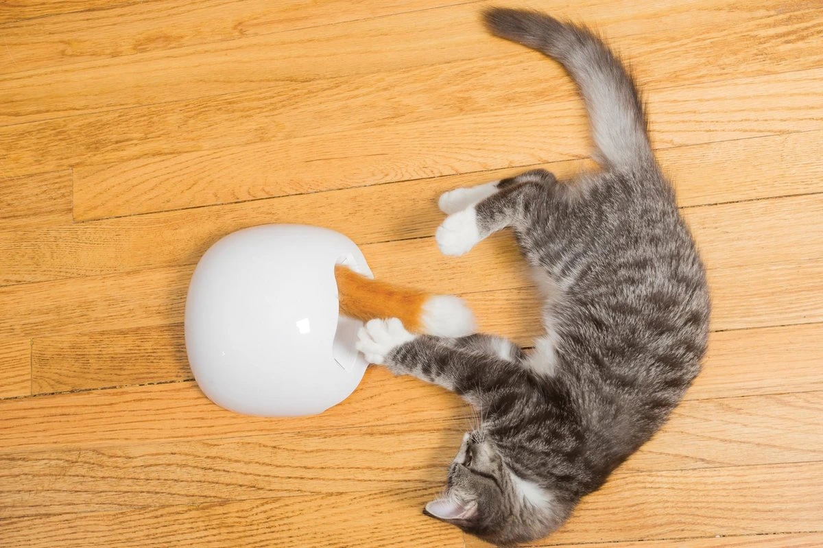 FroliCat Vossenhol - Automatische Kattenplager - Kattenspeelgoed 9 FroliCat Vossenhol - Automatische Kattenplager - Kattenspeelgoed - Afbeelding 7