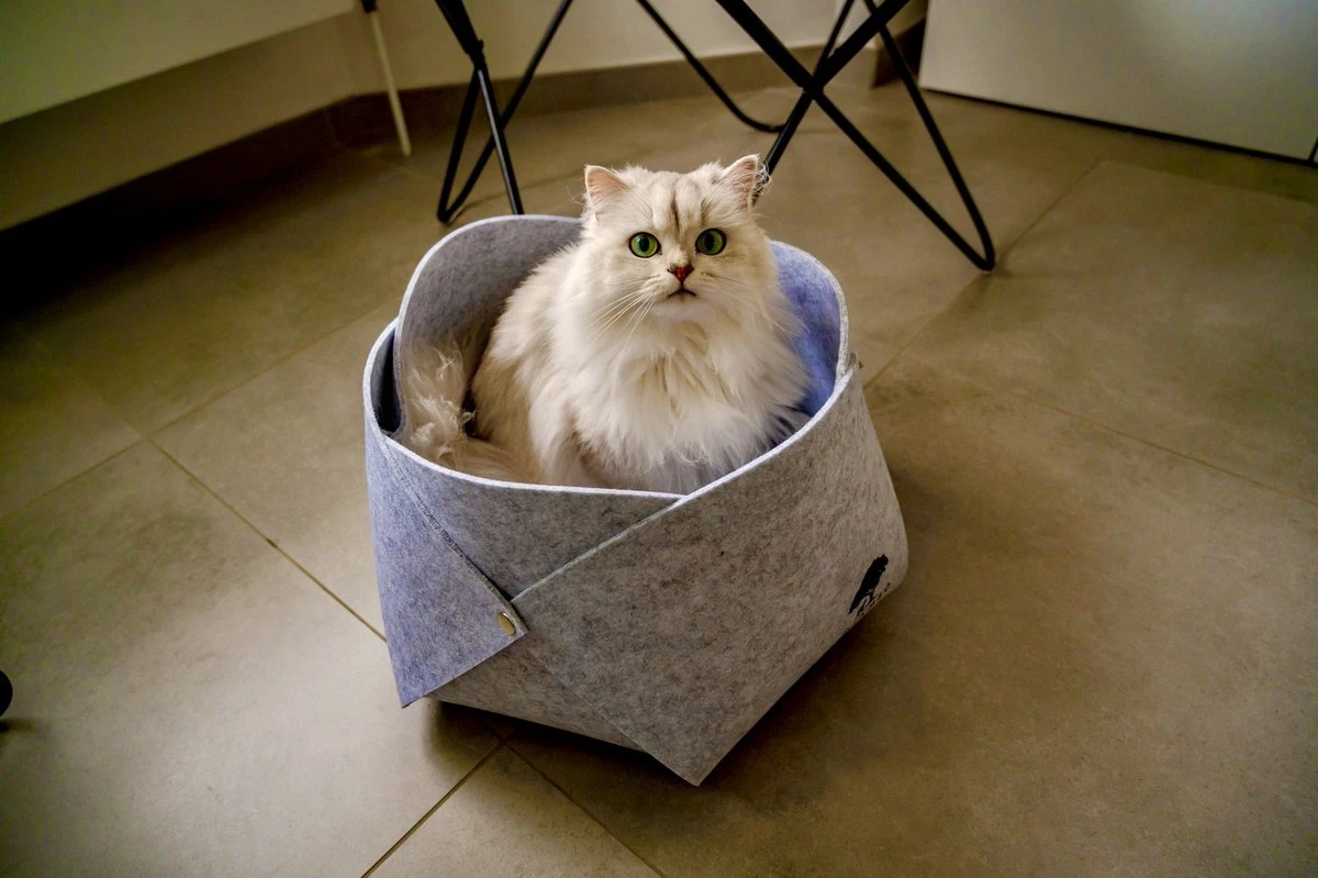 Djambo Grijs Kattenmand Vilt Met 1 Zacht Kussen - Elegant En Praktisch Kattenbed - Comfortabel En Origineel Design 4 Djambo Grijs Kattenmand Vilt Met 1 Zacht Kussen - Elegant En Praktisch Kattenbed - Comfortabel En Origineel Design - Afbeelding 2