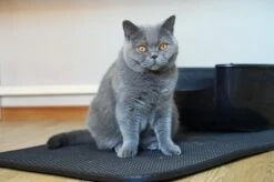 Merkloos Tastelio XXL Kattenbakmat 75x55cm - Groot Kattenbak Mat Met Innovatieve Honingraatstructuur - Dubbele Waterdichte Laag - Katten Bak Mat Met Eenvoudige Reiniging Grit Opvanger -Kattenproducten 1200x799 2