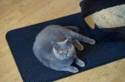 Merkloos Tastelio XXL Kattenbakmat 75x55cm - Groot Kattenbak Mat Met Innovatieve Honingraatstructuur - Dubbele Waterdichte Laag - Katten Bak Mat Met Eenvoudige Reiniging Grit Opvanger -Kattenproducten 1200x799 3