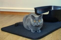 Merkloos Tastelio XXL Kattenbakmat 75x55cm - Groot Kattenbak Mat Met Innovatieve Honingraatstructuur - Dubbele Waterdichte Laag - Katten Bak Mat Met Eenvoudige Reiniging Grit Opvanger -Kattenproducten 1200x799 4