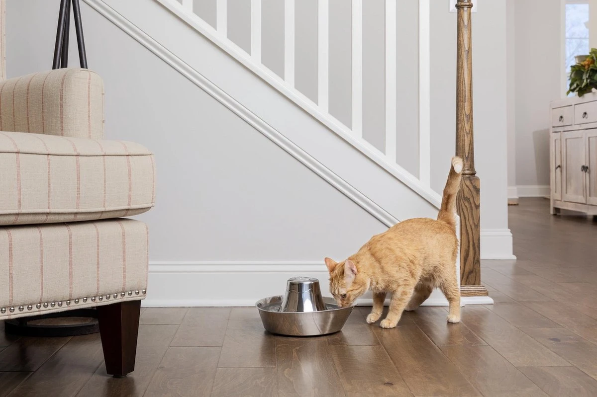 PetSafe® Seaside Stainless Steel Pet Fountain - RVS Drinkfontein Voor Katten En Kleine Honden - Water Borrelt Zacht Over De Toren - Door Het Design Van Alle Kanten Bereikbaar - 1,8 Liter - PetSafe Seaside 4 PetSafe® Seaside Stainless Steel Pet Fountain - RVS Drinkfontein Voor Katten En Kleine Honden - Water Borrelt Zacht Over De Toren - Door Het Design Van Alle Kanten Bereikbaar - 1,8 Liter - PetSafe Seaside - Afbeelding 2