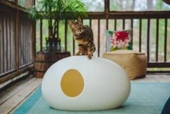 SinDesign Poopoopeedo Kattenbak - Zwart 17 SinDesign Poopoopeedo Kattenbak - Zwart -Kattenproducten 1200x800 12