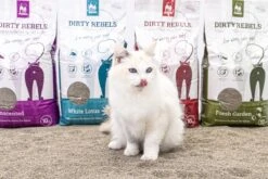Dirty Rebels Kattenbakvulling - 10 L - Geurloos / Zonder Geur - Sterk Klontvormend - Stofvrij - 100% Natuurlijk - Premium Kwaliteit Van Petrebels -Kattenproducten 1200x800 19