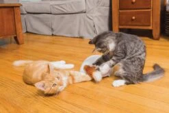 FroliCat Vossenhol - Automatische Kattenplager - Kattenspeelgoed 18 FroliCat Vossenhol - Automatische Kattenplager - Kattenspeelgoed -Kattenproducten 1200x800 23