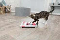 Trixie Cat Activity Brain Mover - 25 X 20 Cm 22 Trixie Cat Activity Brain Mover - 25 X 20 Cm -Kattenproducten 1200x800 25