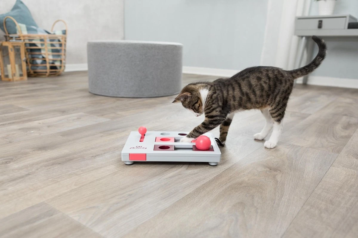 Trixie Cat Activity Brain Mover - 25 X 20 Cm 7 Trixie Cat Activity Brain Mover - 25 X 20 Cm - Afbeelding 5