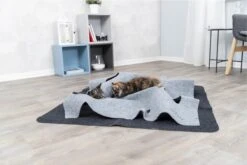 Trixie Cat Activity Adventure Carpet Grijs 99x99 Cm 35 Trixie Cat Activity Adventure Carpet Grijs 99x99 Cm -Kattenproducten 1200x800 37
